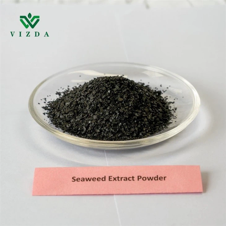 High Quality Organic Fertilizer Seaweed Extract