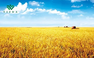 Poľnohospodársky export v Holandsku