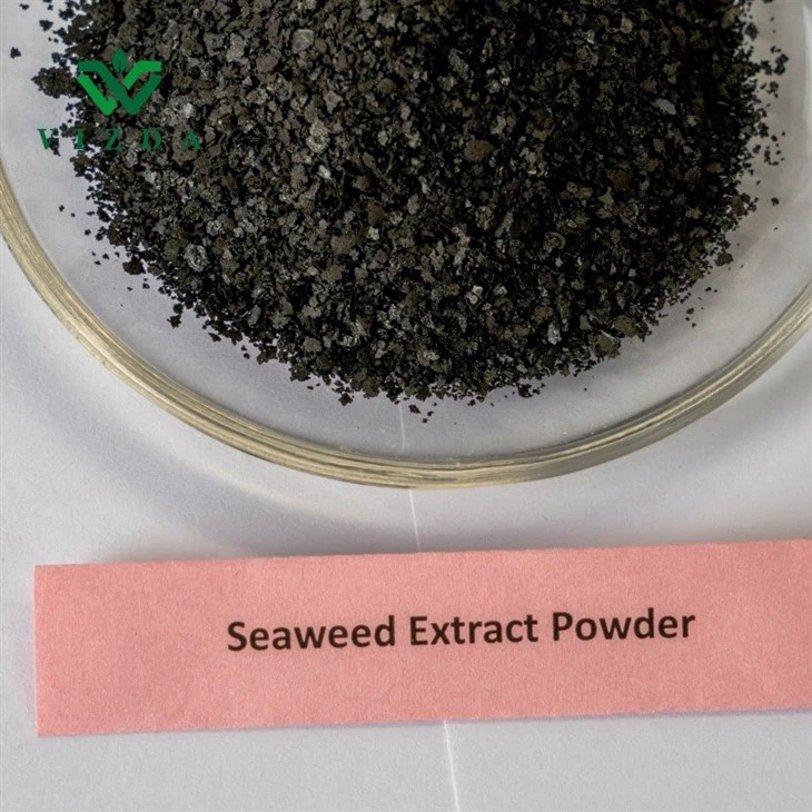 Organic Seaweed Extract Fertilizer