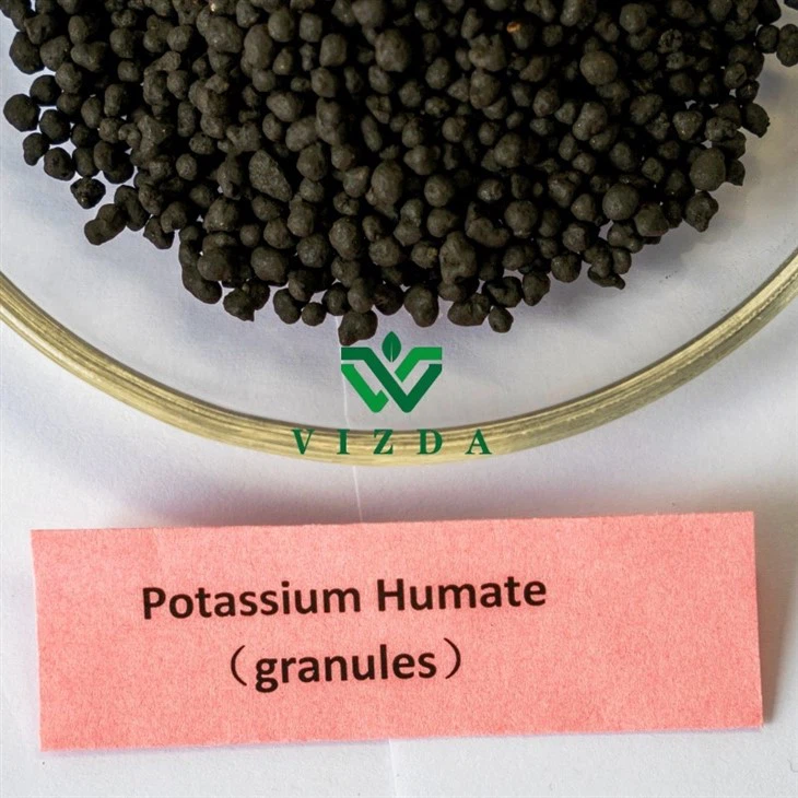 Soil Improvement With Potassium Humate