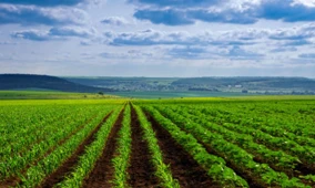 CLAAS venture arm investuje do nemeckého leteckého agronomického startupu Phe...