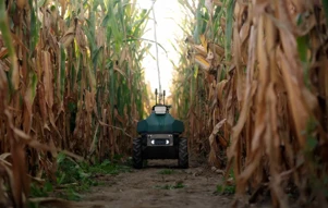 Upside Robotics sa zameriava na odpad z hnojív v kukurici pomocou autonómnych...